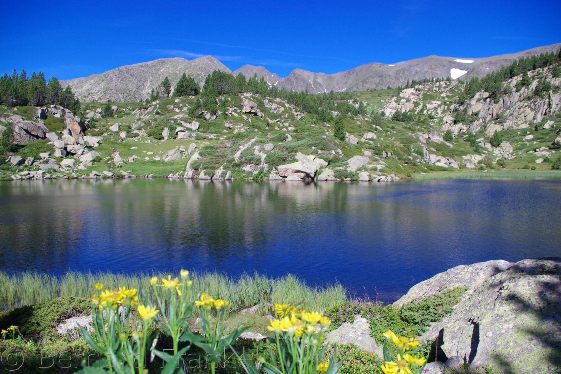 Studio Ecureuil 2 Pers Au Coeur De La Montagne La Llagonne Zewnętrze zdjęcie